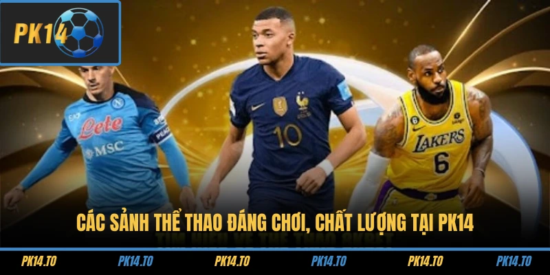 Các Sảnh Thể Thao Đáng Chơi, Chất Lượng Tại PK14