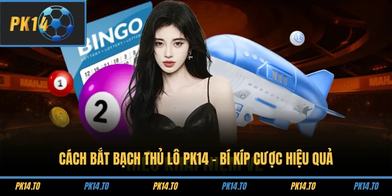 Cách Bắt Bạch Thủ Lô PK14 - Bí Kíp Cược Hiệu Quả