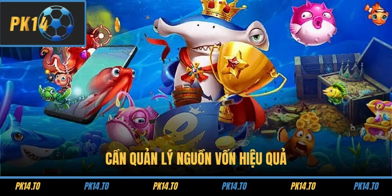 Cần quản lý nguồn vốn hiệu quả