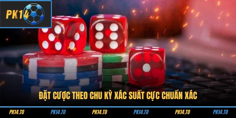 Đặt cược theo chu kỳ xác suất cực chuẩn xác