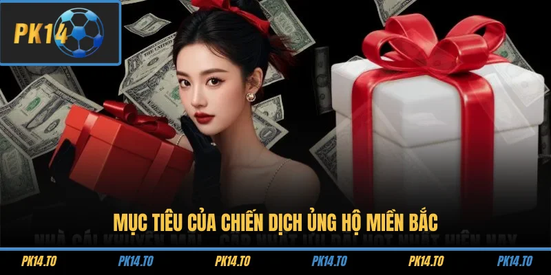 Mục tiêu của chiến dịch ủng hộ miền Bắc