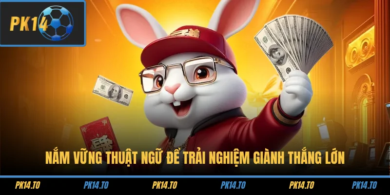 Nắm vững thuật ngữ để trải nghiệm giành thắng lớn