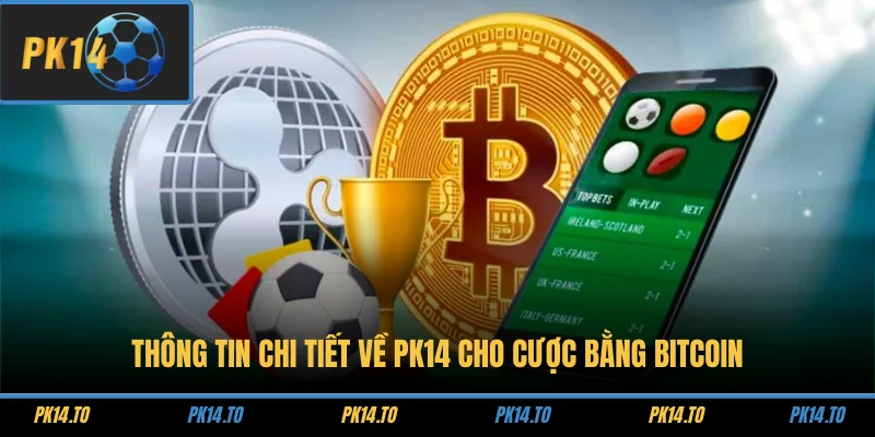 Thông tin chi tiết về PK14 cho cược bằng Bitcoin