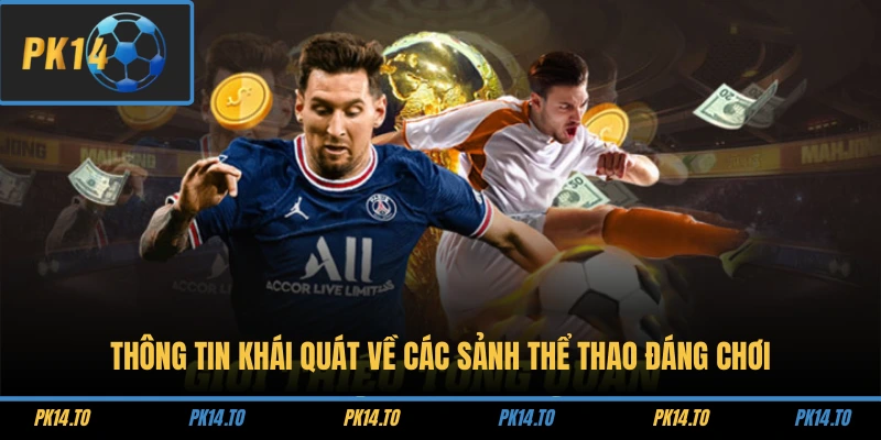 Thông tin khái quát về các sảnh thể thao đáng chơi