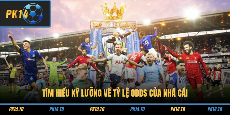 Tìm hiểu kỹ lưỡng về tỷ lệ Odds của nhà cái